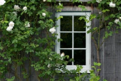 Grail JB.02 10 Grail JB.02 -Mylands Store 1 94b1aeca e1ac 46e2 b8a3 7dac90e640d6