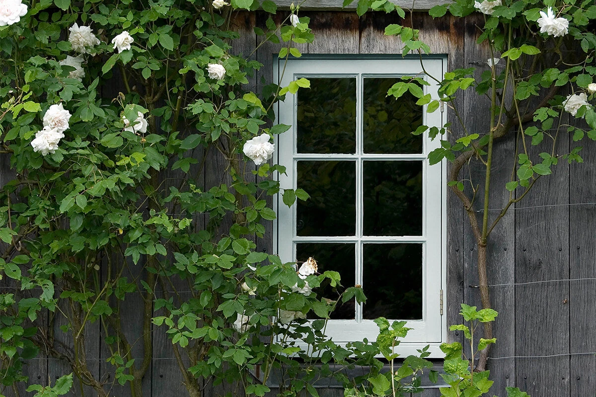 Grail JB.02 6 Grail JB.02 - Image 4