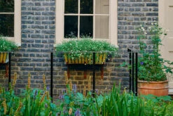 Woodnight JB.12 9 Woodnight JB.12 -Mylands Store 1 b70c8658 410a 49ee a6b6 b0519e7818ce