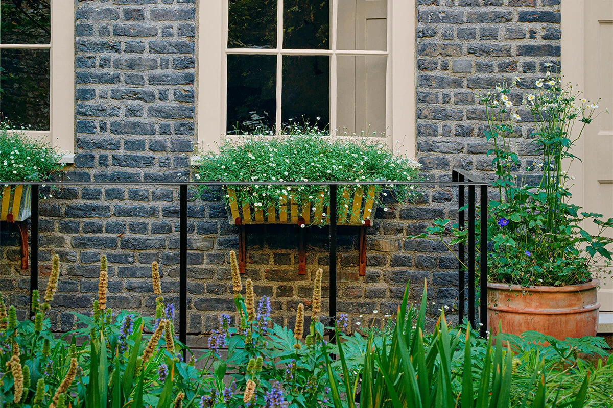 Woodnight JB.12 6 Woodnight JB.12 - Image 4