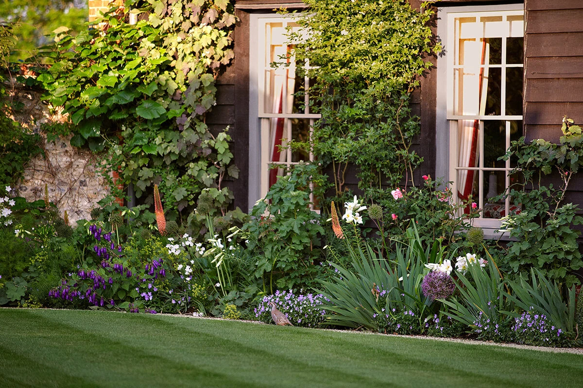 Sargasso JB.04 6 Sargasso JB.04 - Image 4