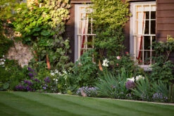 Cooper's Earth JB.05 13 Cooper's Earth JB.05 -Mylands Store 2 c02c7b7b f786 4523 b568 7958ccb8b51d