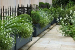 Riverine JB.07 -Mylands Store 3 4b22d8bf ba3d 4114 80ab e0266e251c02