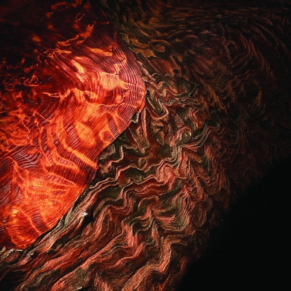 Odie's Wax, 9 Oz. 8 Odie's Wax, 9 Oz. - Image 6