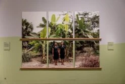 French Green™ No.187 12 French Green™ No.187 -Mylands Store DPG Soulscapes 4000px 4O0A2754