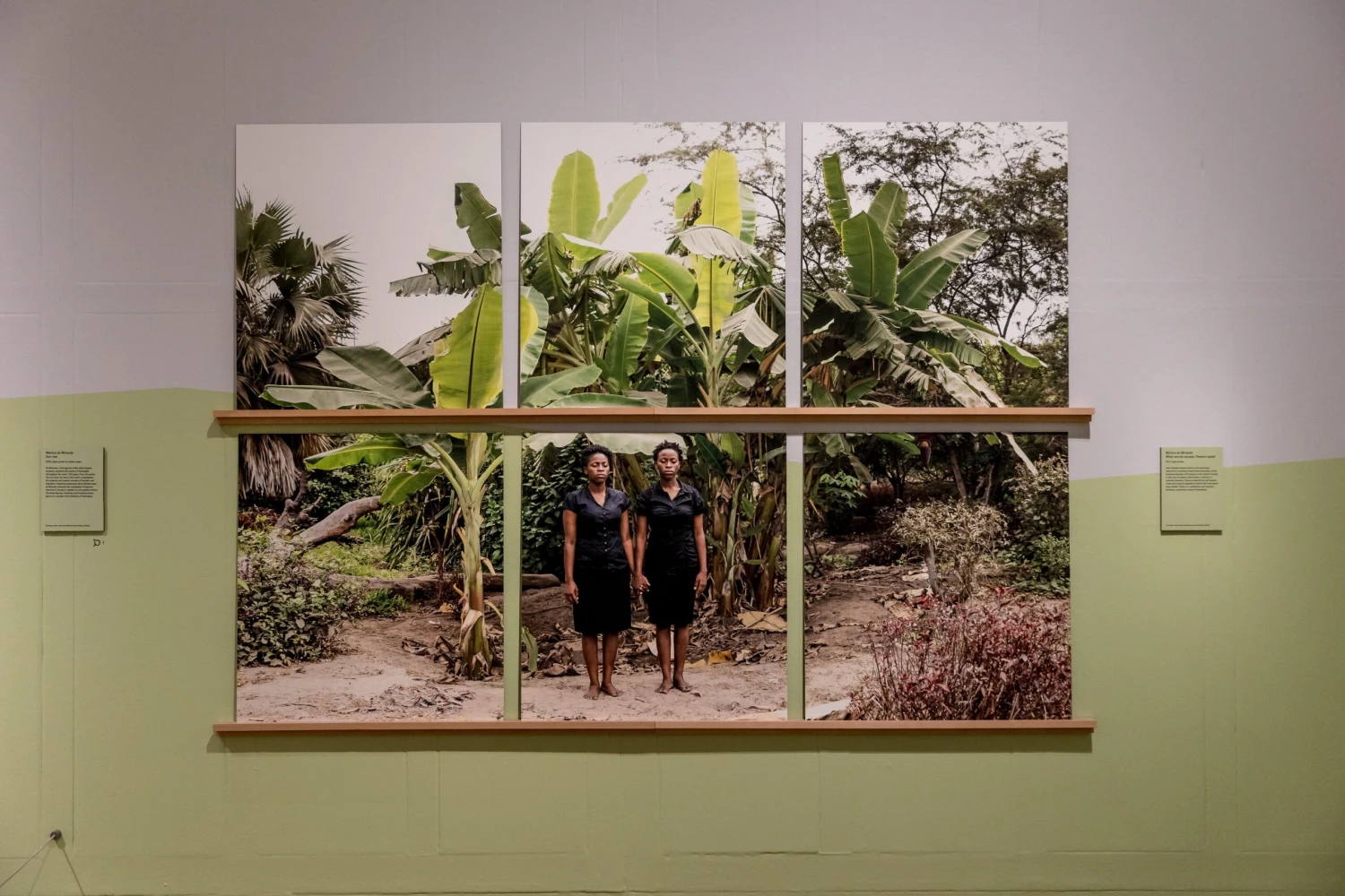 French Green™ No.187 6 French Green™ No.187 - Image 4