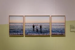 French Green™ No.187 13 French Green™ No.187 -Mylands Store DPG Soulscapes 4000px 4O0A2764 1