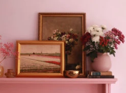 Floris™ No.27 14 Floris™ No.27 -Mylands Store Living room walls shelf painting Floris No.27 Blush Pink Paint 713ee432 8854 485d 96e0 3c0c72f5154c