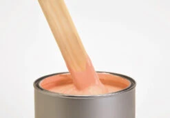 Primer & Undercoat - Orange 7 Primer & Undercoat - Orange -Mylands Store Orange1005Primer1 1512x1048 jpg af27f49f 452f 451a b81f b8371da5deed