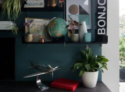 Burlington Arcade™ No.216 11 Burlington Arcade™ No.216 -Mylands Store Wall Burlington Arcade No216 Dark Green Blue Paint 2 0e7fd3fa bcc4 4ce7 9d83 79fcb090c217