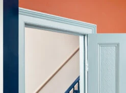 Coral Orange™ No.277 11 Coral Orange™ No.277 -Mylands Store Walls Coral Orange No277 Vibrant Coral Orange Paint 8 c62cfaa4 ea03 407c 9167 f707aa324797