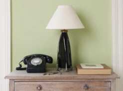 French Green™ No.187 15 French Green™ No.187 -Mylands Store Walls French Green No187 Pastel Green Paint 3 5beb6fd8 45f2 49ed a90c 1dccaff3811b