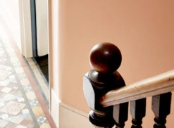 Peach Flesh Pink™ No.268 11 Peach Flesh Pink™ No.268 -Mylands Store Walls Peach Flesh Pink No268 Peach Pink Paint 8 39d0f21f e538 4c4d af17 82d74f13c6da