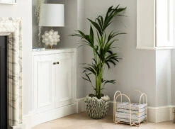 Sloane Square™ No.92 11 Sloane Square™ No.92 -Mylands Store Walls Sloane Square No92 Pale Neutral Paint 15 e8394e45 0776 409b 8269 35dad349ffdc