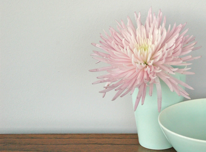 Syon Park™ No.13 7 Syon Park™ No.13 - Image 5