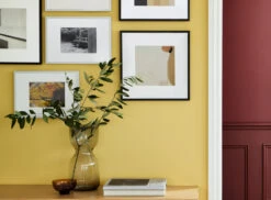 Huguenot™ No.49 10 Huguenot™ No.49 -Mylands Store back Wall Huguenot No49 Crimson Red Paint 2 2c8250c9 3ada 4614 b7fd 7a114af16eb6