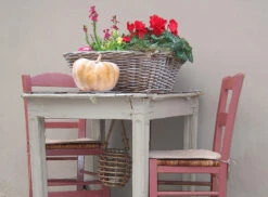 Mortlake Red™ No.290 11 Mortlake Red™ No.290 -Mylands Store chairs Mortlake Red No290 Dusty Red Paint 2 46ef1d8d 0e68 4e08 b6dc 218d77c2cbcf