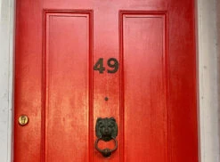 FTT-009™ - Bright Red 9 FTT-009™ - Bright Red -Mylands Store door FTT 009 Red Paint 3 8814dc35 ab7f 487b b4d0 59a74b08a6df