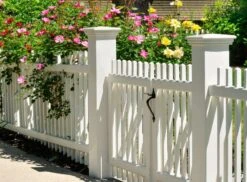 Pure White™ No.1 -Mylands Store gate and fence Pure White No1 Pure White Paint 2e9ed85d 3666 4314 ae06 4c413b76e5ed